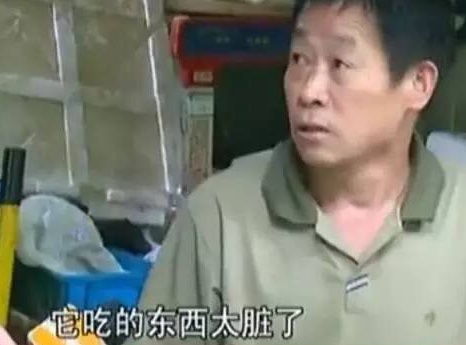 160615165731cc86fcd924302c_2345看圖王