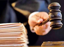 食品標準法規管理咨詢服務